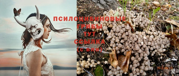 ПСИЛОЦИБИНОВЫЕ ГРИБЫ Алексеевка