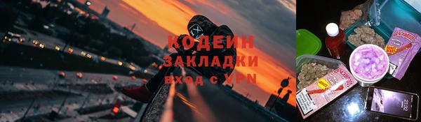 ПСИЛОЦИБИНОВЫЕ ГРИБЫ Алексеевка