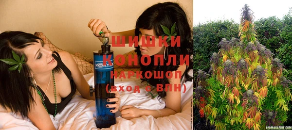ПСИЛОЦИБИНОВЫЕ ГРИБЫ Алексеевка