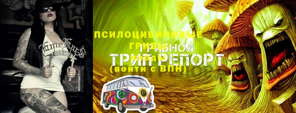 ПСИЛОЦИБИНОВЫЕ ГРИБЫ Алексеевка
