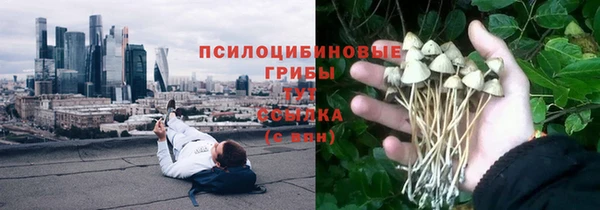 ПСИЛОЦИБИНОВЫЕ ГРИБЫ Алексеевка