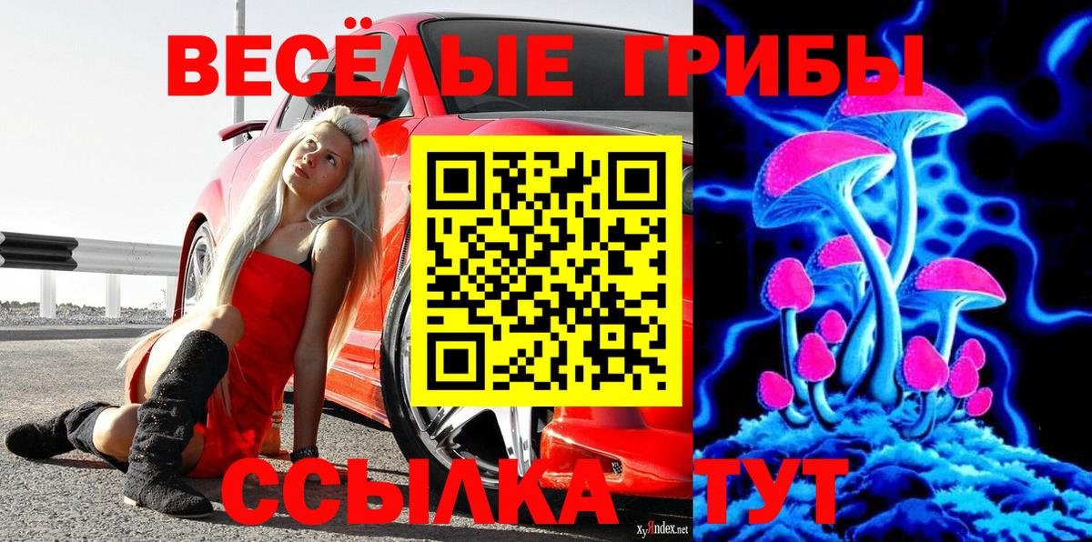 Бирск  Псилоцибиновые грибы Magic Shrooms  Вход с VPN 