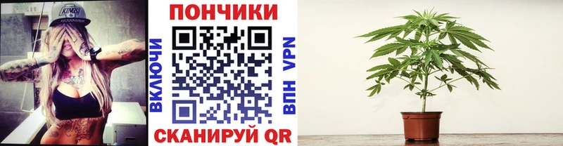где найти   Бирск  omg tor  Бошки марихуана Bruce Banner 