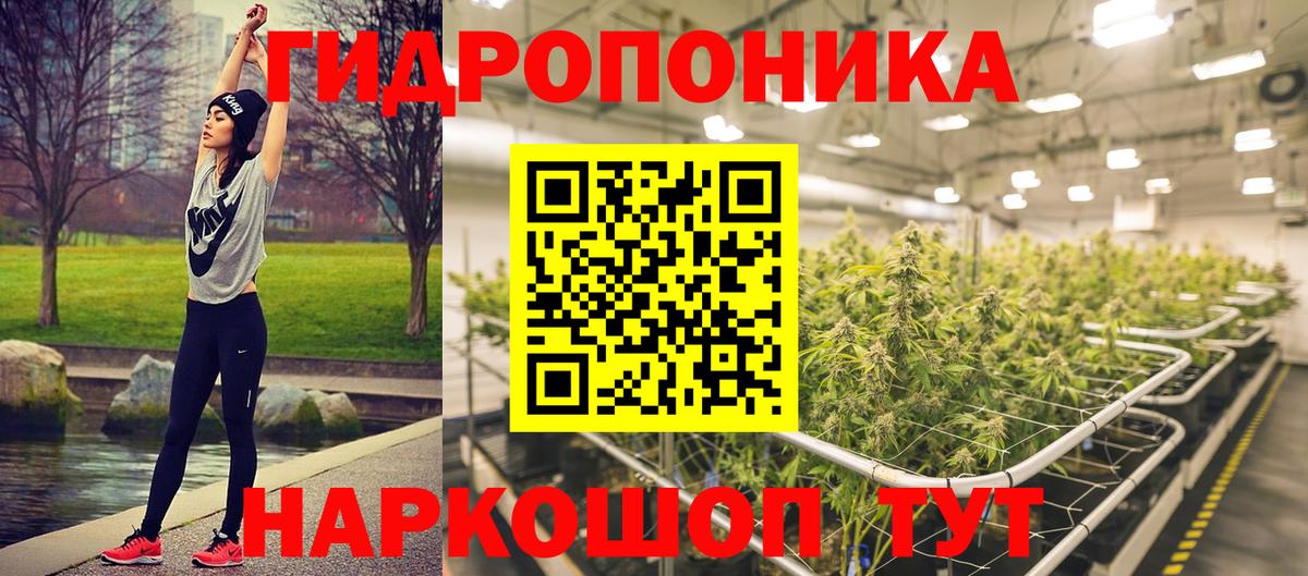Канабис планчик  Бошки марихуана White Widow  Марихуана Bruce Banner  Вход с VPN  Бирск 